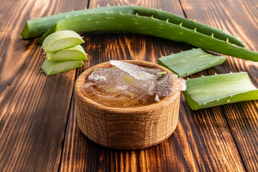 Aloe Vera leaves along with cuts of aloe vera, aloe vera gel, and aloe vera juice in wooden dishes